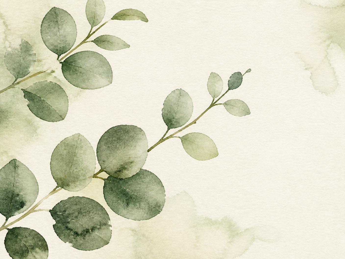 Soft watercolour painting of eucalyptus branches on cream paper