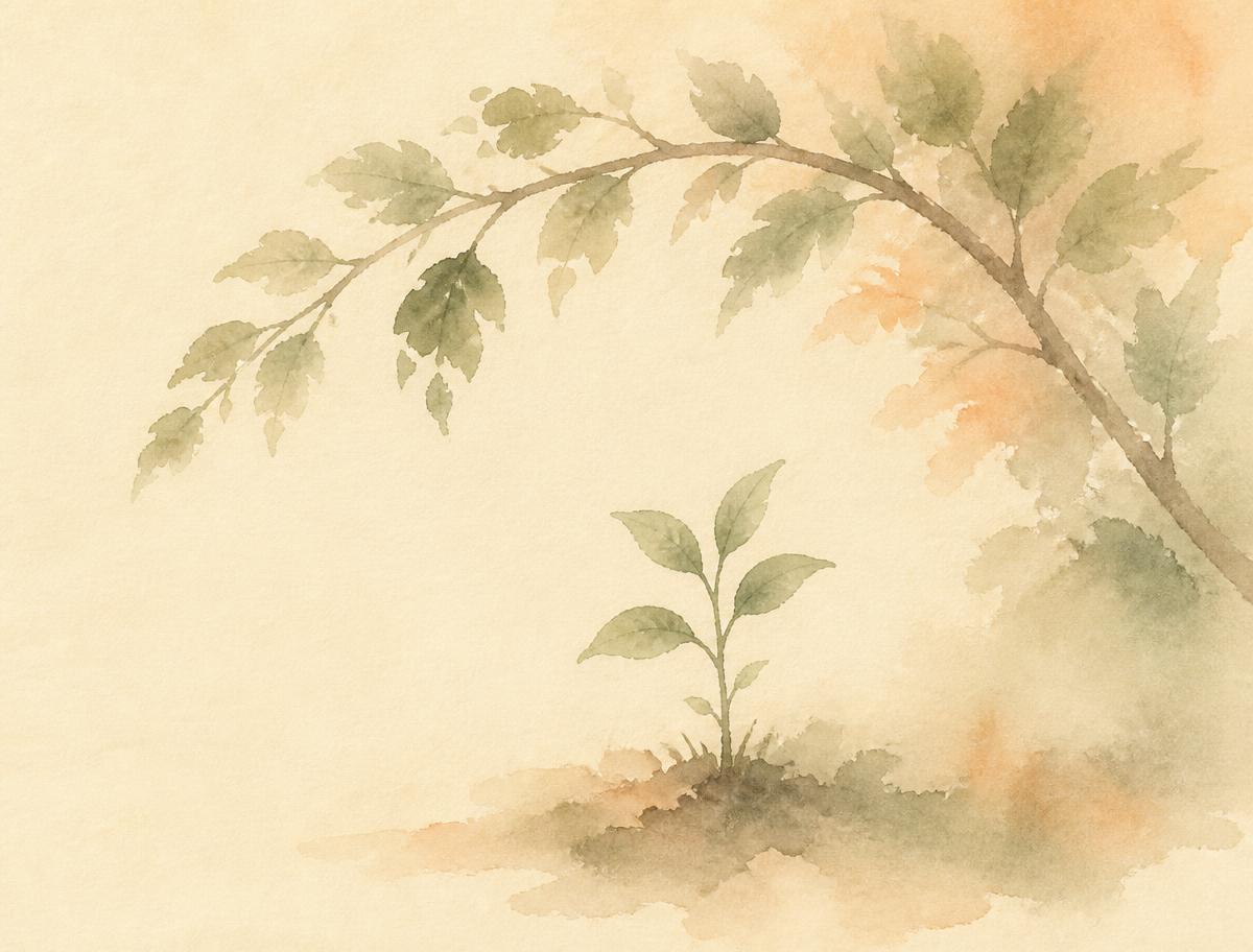 Watercolour illustration of a sheltering tree and small saplings